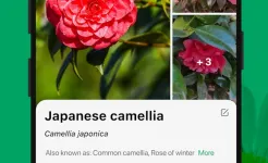 Screenshot PictureThis - Plant Identifier