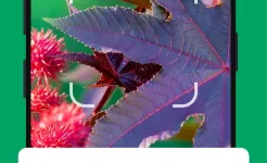 Screenshot PictureThis - Plant Identifier