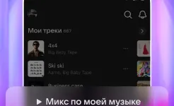 Screenshot VK Music Pro